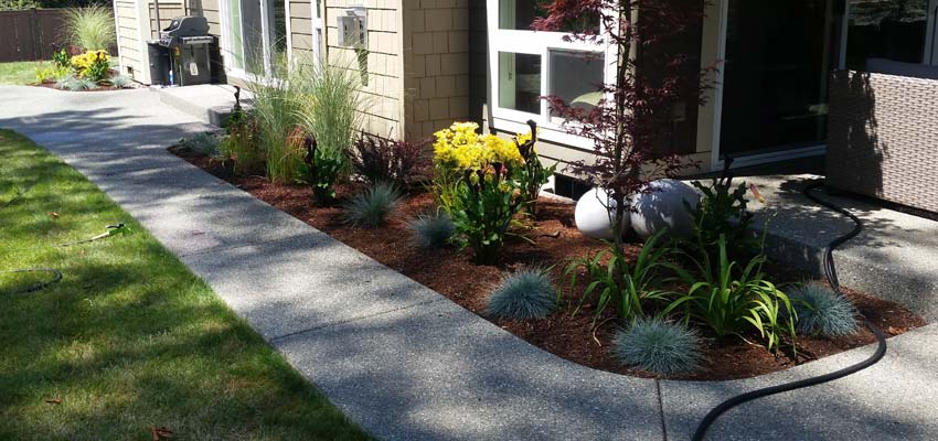 Softscapes Landscaping Design